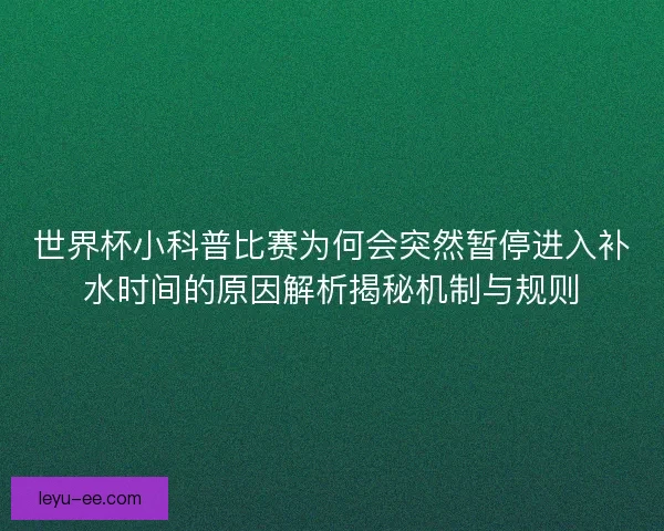 世界杯小科普比赛为何会突然暂停进入补水时间的原因解析揭秘机制与规则 世界杯小科普比赛为何会突然暂停进入补水时间的原因解析揭秘机制与规则